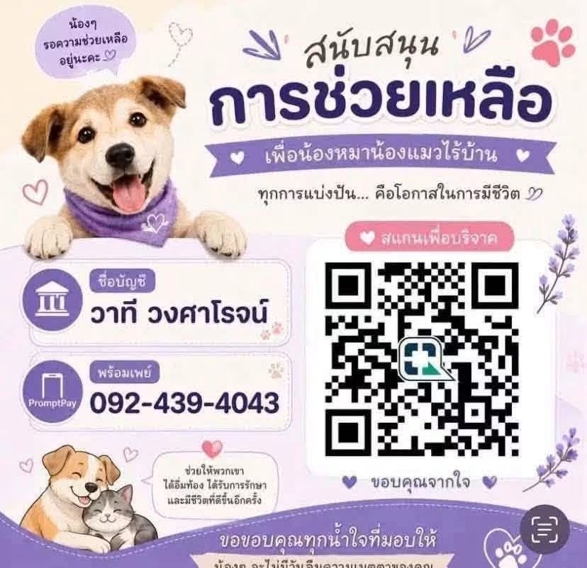 Chocobuttxr0's tweet photo. 📌ตอนนี้ บ้านหมา–แมว ที่อำเภอวัฒนานคร จังหวัดสระแก้ว น้ำท่วมหนักมาก 🌊
น้องหมา น้องแมวหลายชีวิตได้รับผลกระทบ และยังต้องมีอาหารกับน้ำสะอาดสำหรับประทังชีวิตในทุกวัน

ฝากพี่ ๆ ช่วยกันคนละเล็กละน้อย เพื่อให้น้อง ๆ ผ่านวิกฤตน้ำท่วมครั้งนี้ไปด้วยกันนะคะ 🙏🏻
#น้ําท่วม #ฝนตกหนัก https://t.co/elpESis9X7