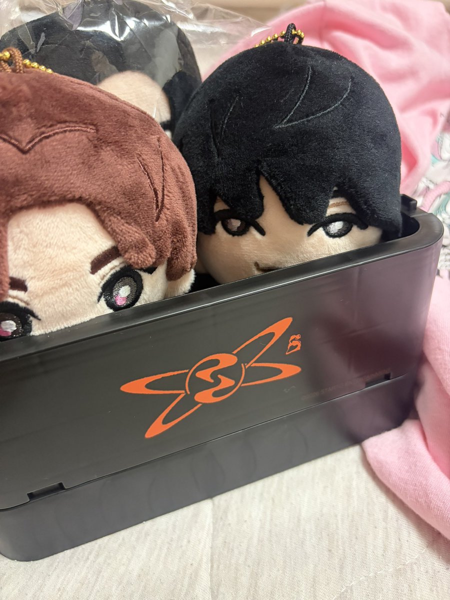 0qslly's tweet photo. SixTONESSTOCKのグッズミニカーと一緒に頼んじゃったからまだまだ届かなそう笑笑笑笑だけどあとからボックスだけ頼んだらすぐ届いた仲良く入ってくれてありがとう🩷🖤♪♪ https://t.co/cWAEA4Jk2g