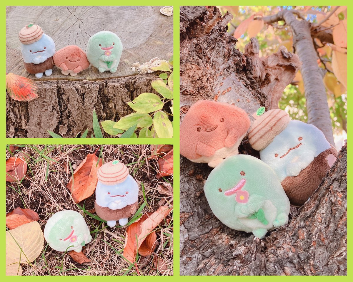 mooonriver1227's tweet photo. お気に入りの過去写真🌰🌳🍂 https://t.co/lE2FVIX1h9