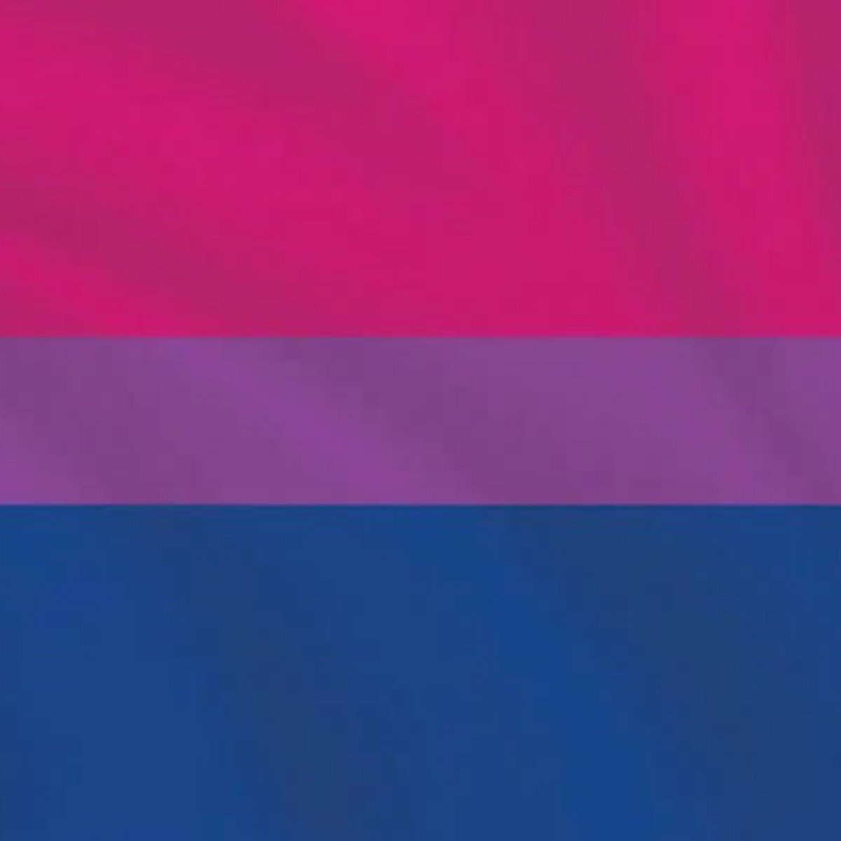 Iuripireslt's tweet photo. perdi a deixa do bi pride mas é bom salientar

Eu / minha bandeira https://t.co/eZfXoFVuHk