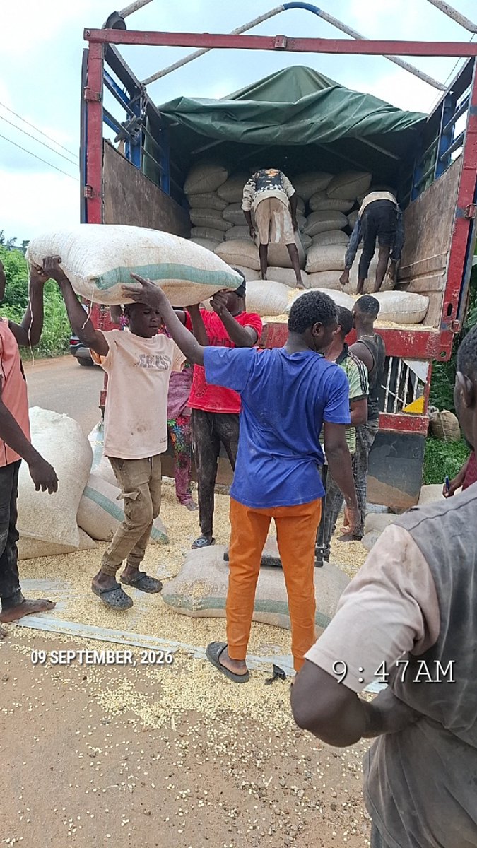AroajiFarms's tweet photo. Visit us at Mega AroAji Farms MAAF LTD ILESA OSUN STATE NIGERIA π³π¬ ππ
#Agriculture #Farming #Livestock
#AnimalFarm #Poultry #FHC #SustainableFarming #farmer #OrganicFarming #FarmLife #Ranching #nature #AjiAgroWealthLTD #AnimalFarm #MegaFarm #AjiAgrowealth #LivestockFarming https://t.co/EnC3tO60eB