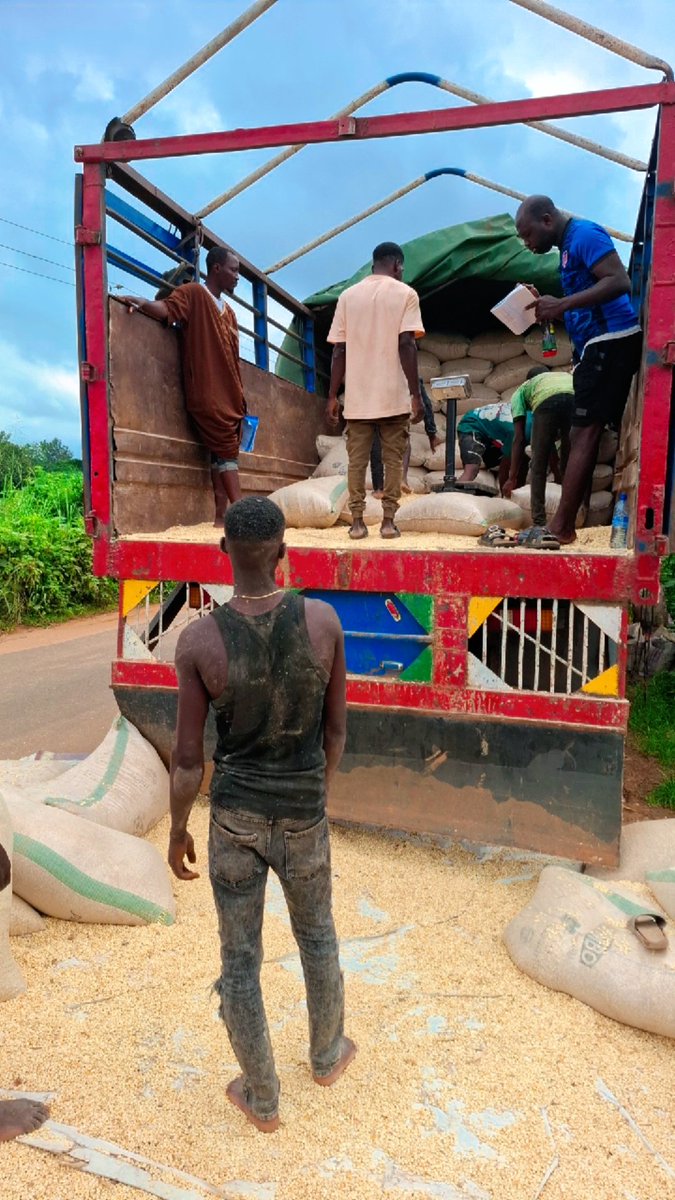 AroajiFarms's tweet photo. Visit us at Mega AroAji Farms MAAF LTD ILESA OSUN STATE NIGERIA π³π¬ ππ
#Agriculture #Farming #Livestock
#AnimalFarm #Poultry #FHC #SustainableFarming #farmer #OrganicFarming #FarmLife #Ranching #nature #AjiAgroWealthLTD #AnimalFarm #MegaFarm #AjiAgrowealth #LivestockFarming https://t.co/EnC3tO60eB
