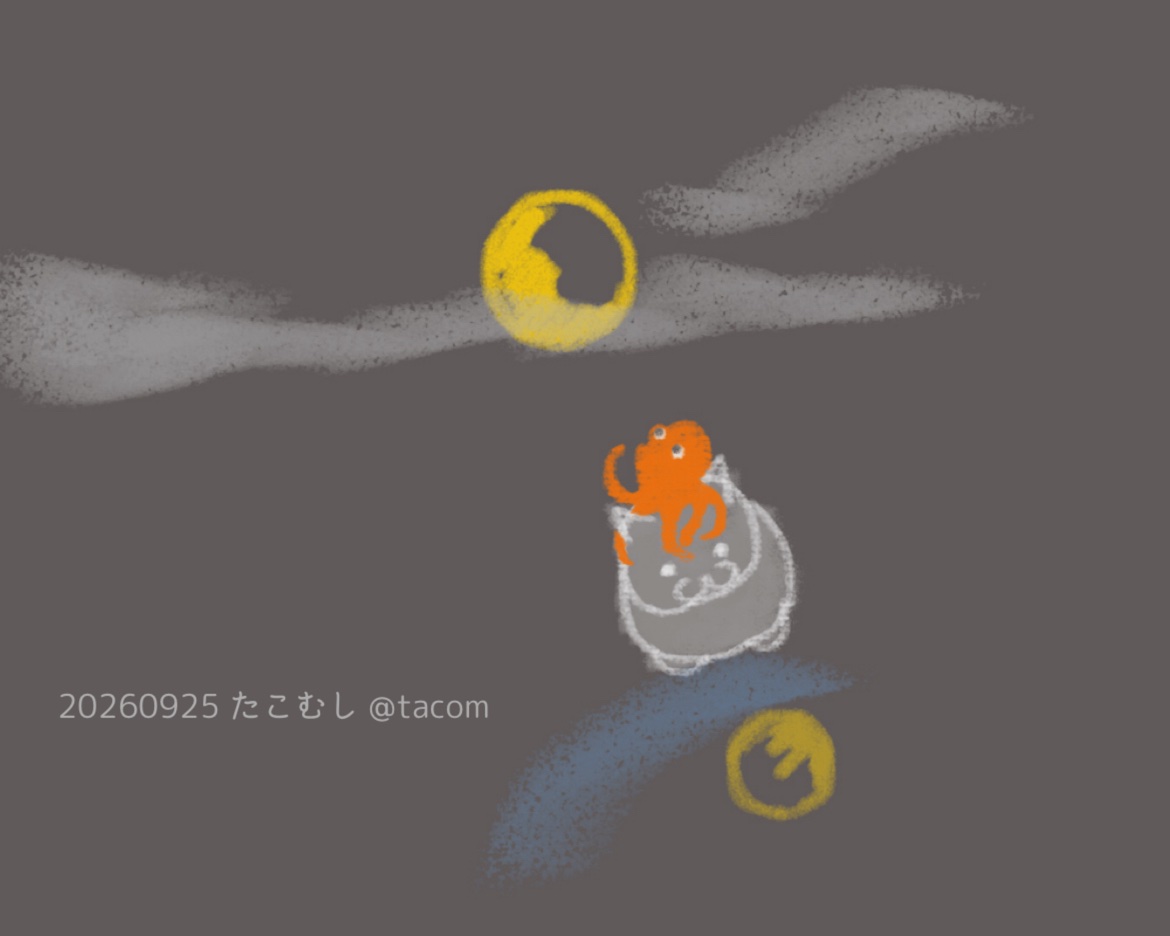 tacom's tweet photo. いつもとちょっとちがう、
ネコとタコです

中秋の名月、曇っているけれど
空は明るい
今年はそういう楽しみ方で🐰 https://t.co/MFzgtJqRcJ