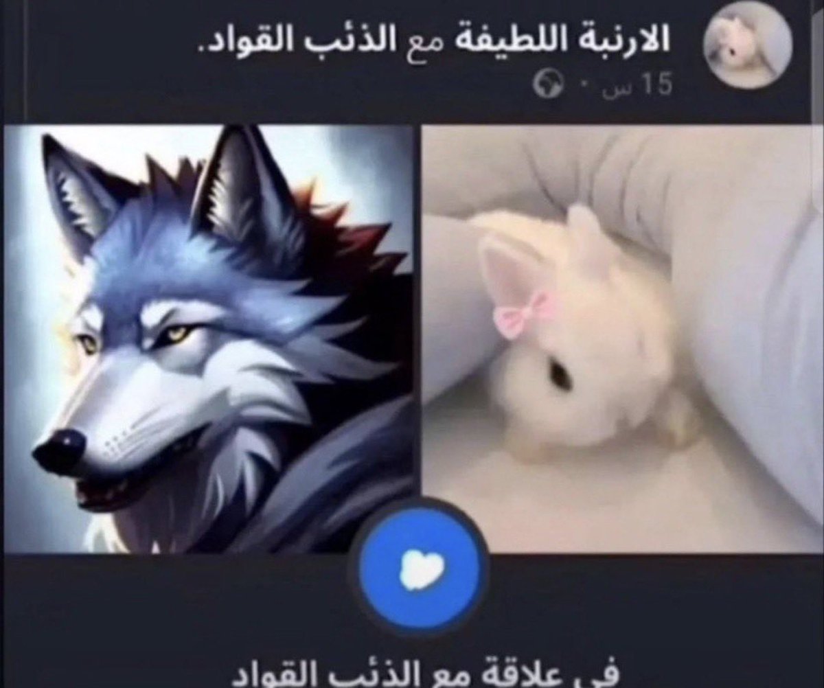 ifl98's tweet photo. اكثر كبلز طبيعي بالدسكورد https://t.co/AEVK9AYIVF
