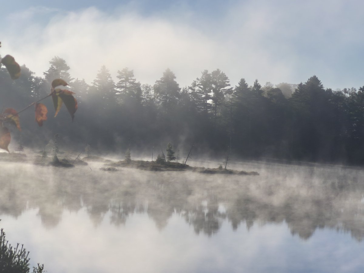KarynCurtis21's tweet photo. Morning mist on the lake ☁️ https://t.co/n8JX4jVrIz
