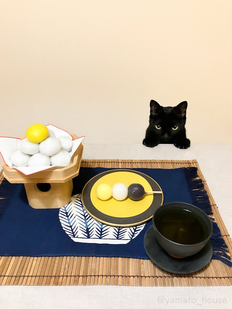 house_yamato's tweet photo. 黒猫とお月見茶会 https://t.co/HVjBM46fyF