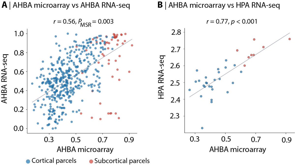 misicbata's tweet photo. 6️⃣ There are a few other fun things in the supplement, including the mapping of other aquaporins and comparisons with MRI measurements of the glymphatic system (intrathecal CSF tracer gadobutrol). https://t.co/5EkjWQ6vm4