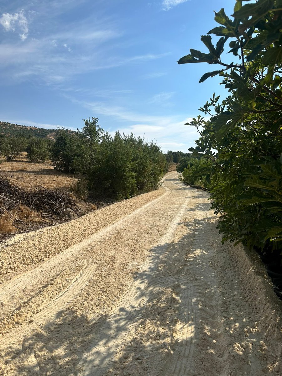 tameralhas's tweet photo. Ergen (Gerzno) kırsal mahallemizde devam eden yol çalışmalarımızı yerinde inceledik.

Vatandaşlarımızın ulaşım konforunu artırmak için çalışmalarımız aralıksız devam edecek. 🚧 https://t.co/feG652YpkX