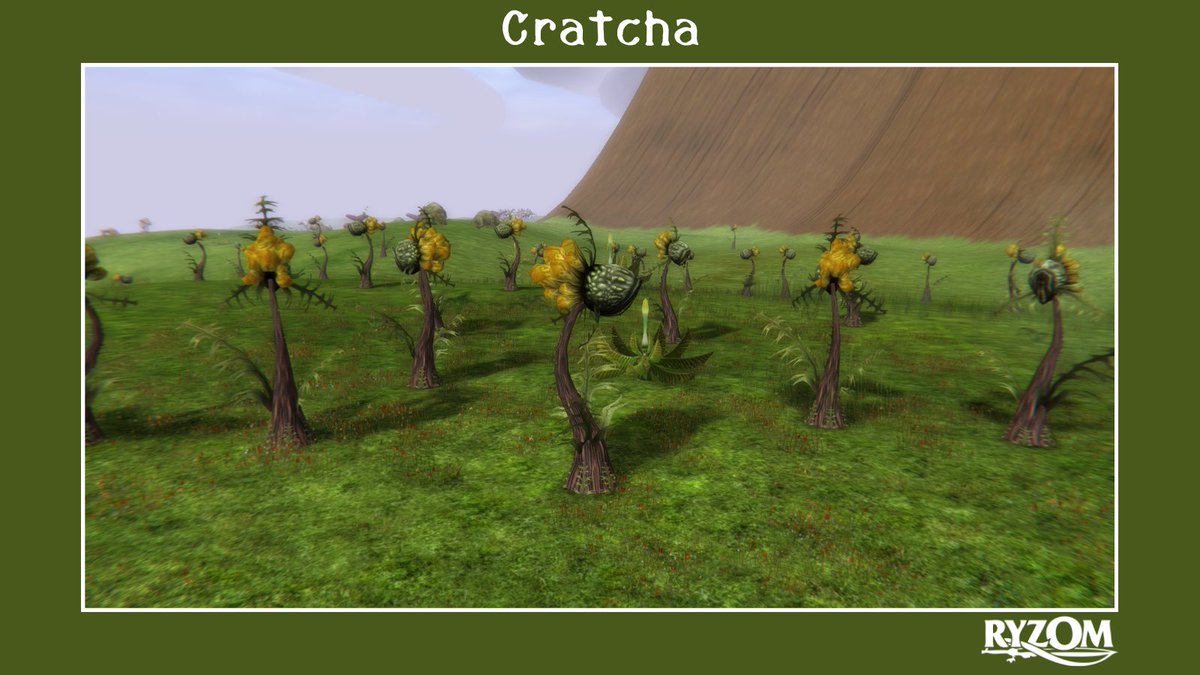 Ryzom's tweet photo. Cratcha
A large intelligent plant with fleshy leaves, a cratcha can fully rotate its flower thanks to a thin, flexible stem.
When threatened the cratcha's single flower is thrust forth and spits a deadly, viscous substance, strewn with barbels, that sticks to the victim.
#ryzom https://t.co/pIA2xWRrSa