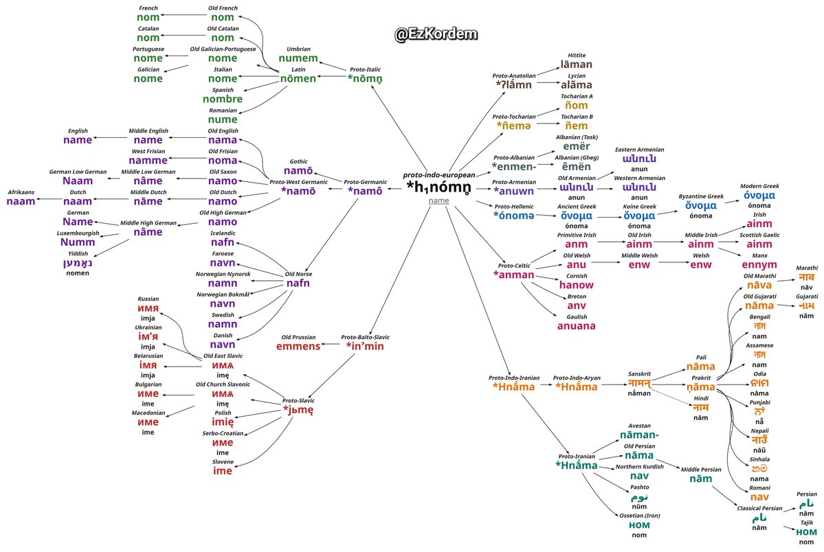 EzKordem's tweet photo. A detailed etymological diagram of the word 'NAME' in the Indo-European language family. https://t.co/TjKhpgtLdJ