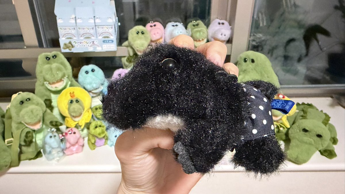 ryo_chan_83's tweet photo. やった〜‼️ついに‼️あの‼️
みんな大好き‼️ワーリー‼️のフレンズにワールー登場‼️🐊🖤✨

ワーリーベイビーズちゃんたちは発売早々でゲットしてコンプしてるからぜひワールーぬいぐるみで欲しいな🥺

ウチのワーリーたちも待ってるよ💚🩷💜🩵🤍🖤🌈

A賞当たりますように🖤🙏🏻🍙 https://t.co/adDruXTRSm