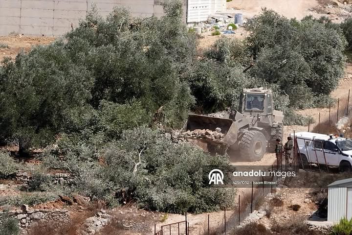 Timesofgaza's tweet photo. Israeli bulldozers are uprooting several olive trees from Palestinian-owned land in the village of Beit Rima, west of Ramallah. https://t.co/DHMsMM1EC8