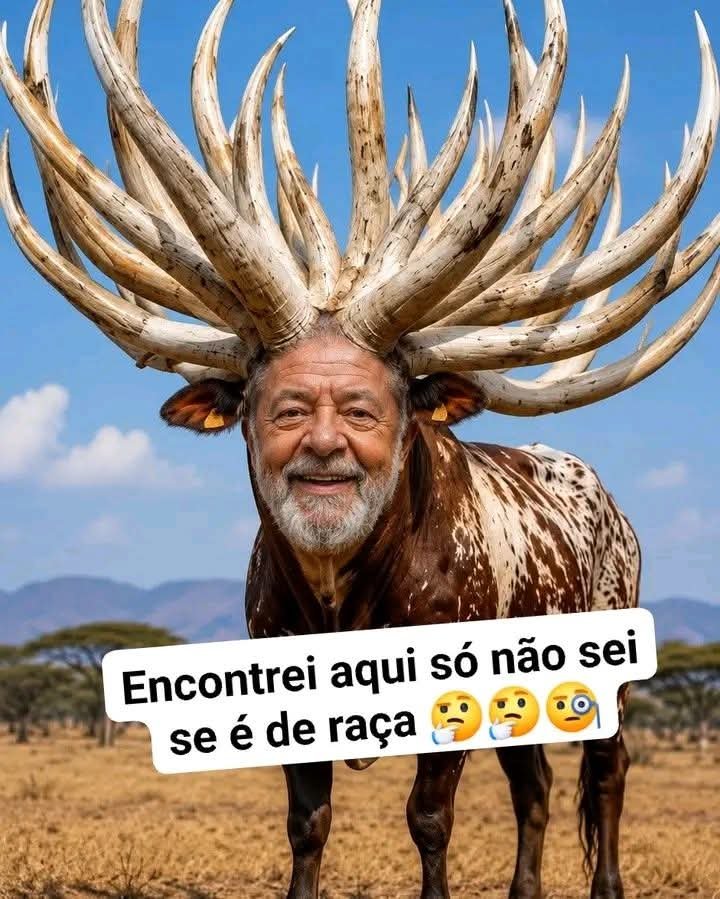 CassiaScriptore's tweet photo. @vinicios_betiol https://t.co/sAEdnCPZU9