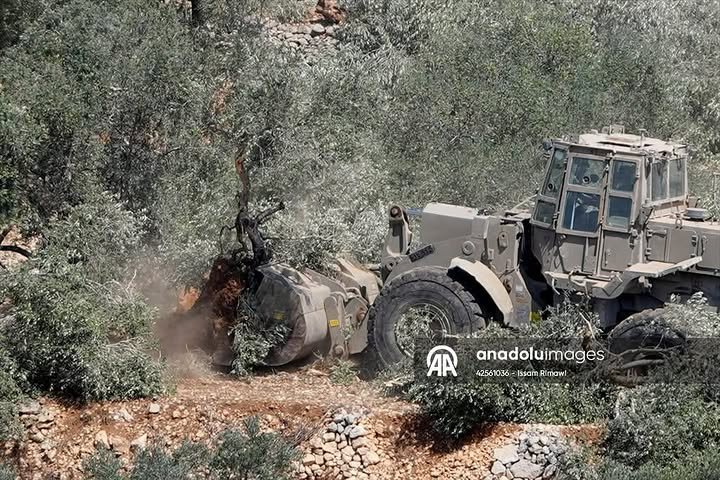 Timesofgaza's tweet photo. Israeli bulldozers are uprooting several olive trees from Palestinian-owned land in the village of Beit Rima, west of Ramallah. https://t.co/DHMsMM1EC8