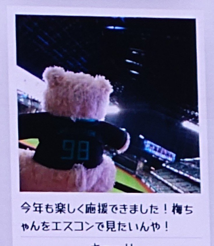 qluwa's tweet photo. 昨日までのエスコン通いで疲労困憊となり、今日は油断すると意識が飛ぶのを必死に堪えて仕事した。月曜怖い。

昨日は帰宅して「もっと応援の力を上げねばならなかったのにワシと来たら…」としょんぼり気分に。
しかしながら、ホーム最終戦後のビジョンに梅林タオルとクマを映して帰宅できたのでヨシ https://t.co/9Xad8lmhBu