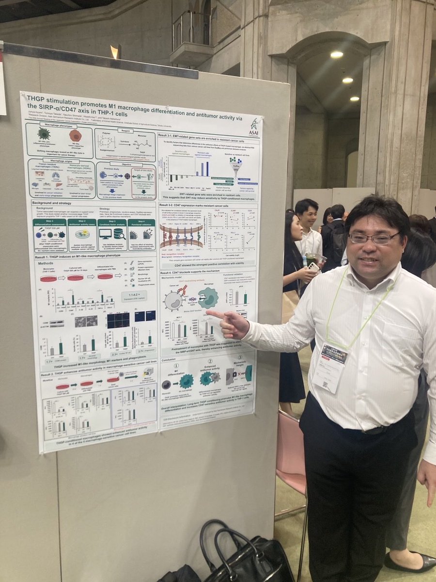 takashi_Nakam's tweet photo. 9月24日の京都で行われた、第85回日本癌学会総会にて、弊社の主任研究員である安積遵哉博士研究員が、アサイゲルマニウムによるマクロファージのM1（癌細胞を食べる性質）への分化をヒトのマクロファージ様株化細胞（THP-1）で確認した内容を発表しました。

今回のトピックは、血液中の単球という免疫細胞が持続的にアサイゲルマニウムで刺激されていると、分化刺激を受けた時に、M1タイプになることを確かめたことです。

普段のアサイゲルマニウムの存在が、緊急の際に癌や感染細胞への攻撃を強められる可能性を示唆しています。

過去の研究と矛盾しない、面白いデータだと思います。難解ですが（笑）