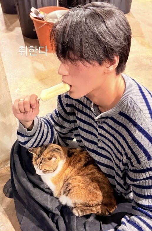 b1tesize's tweet photo. the difference 😭😭😭 https://t.co/HjWNAZ9e50