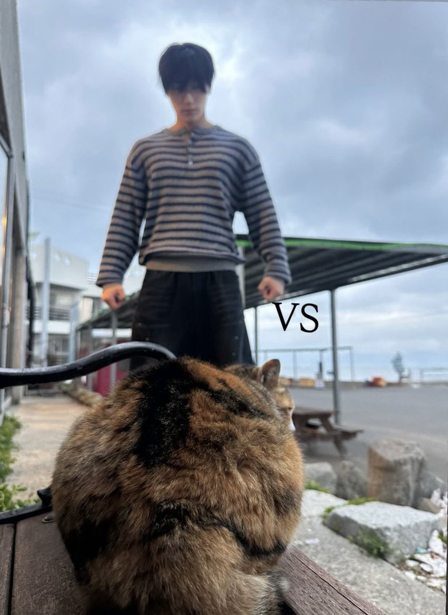 b1tesize's tweet photo. the difference 😭😭😭 https://t.co/HjWNAZ9e50