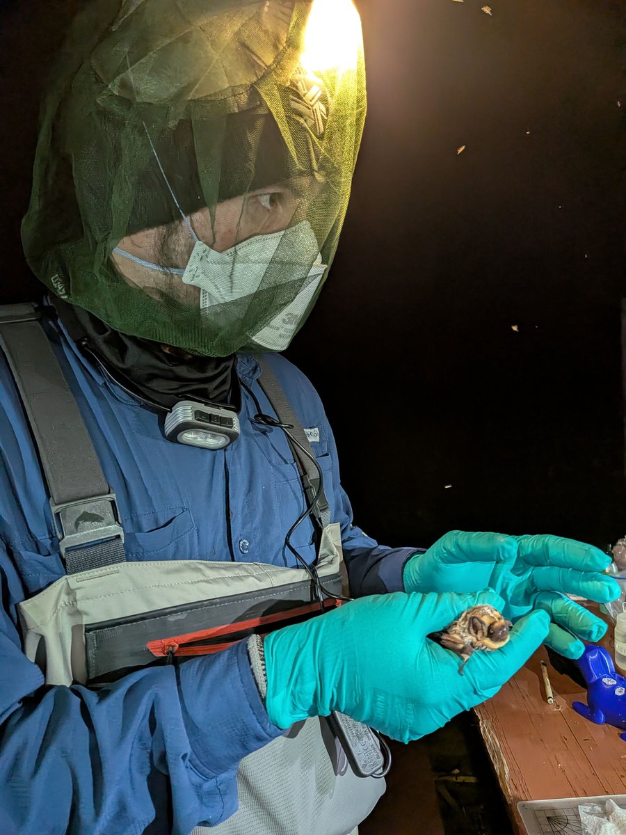PSUScience tweet picture