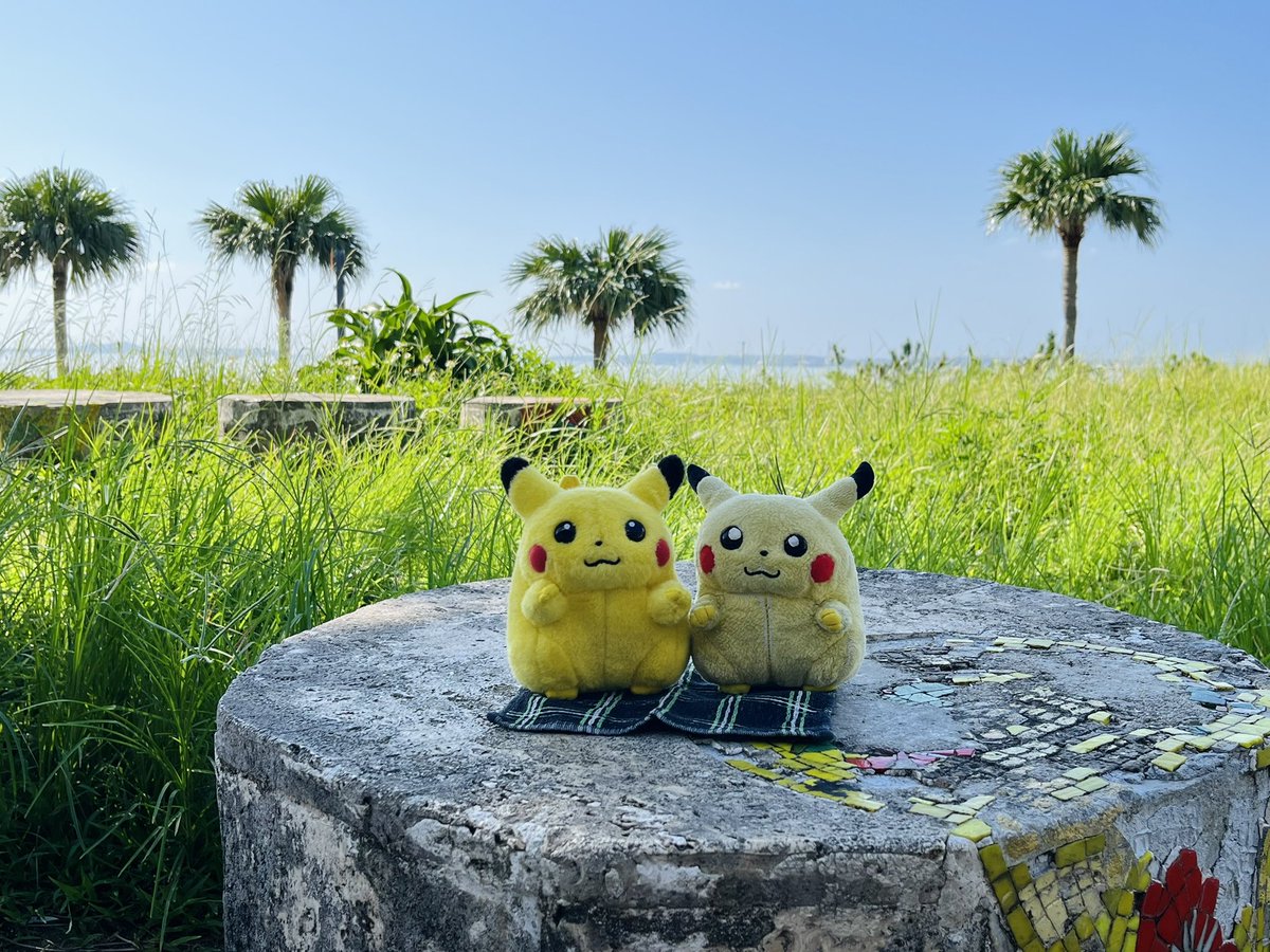 yubinogenkai's tweet photo. 旅行を満喫したネズミたち https://t.co/9oJXvOKNry