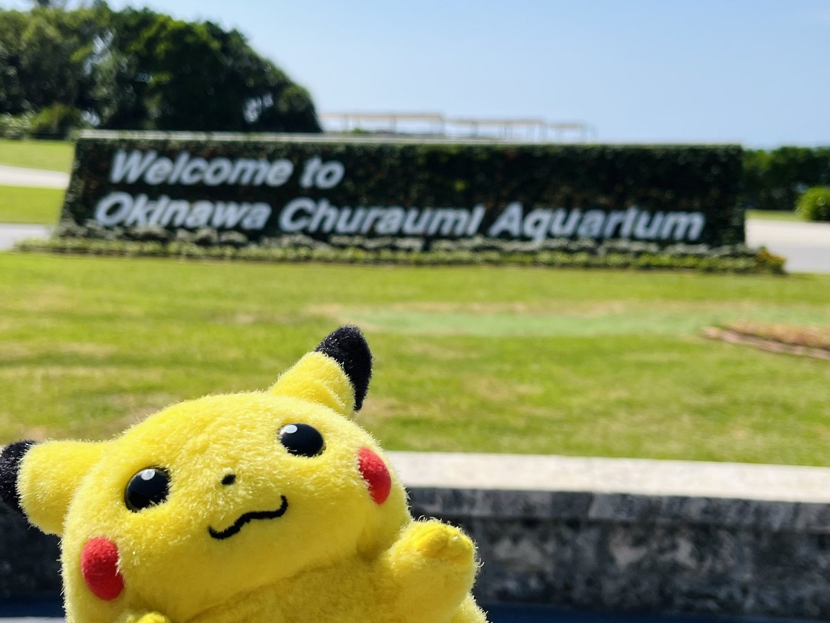 yubinogenkai's tweet photo. 旅行を満喫したネズミたち https://t.co/9oJXvOKNry