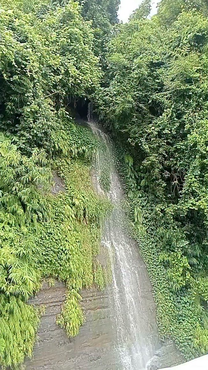 JanieceHero1's tweet photo. ঝর্ণাটি সত্যিই অপূর্ব। https://t.co/97X2hzyheX