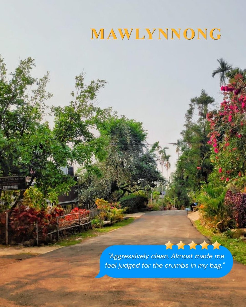 meghtourism's tweet photo. Some places deserve more than 5 stars.
Swipe through our 'Google Reviews' of Meghalaya's villages and see which ones made the cut!
#MeghalayaTourism https://t.co/508YXI4wrO