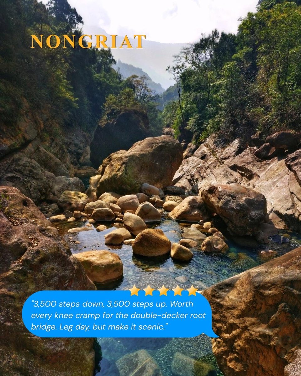 meghtourism's tweet photo. Some places deserve more than 5 stars.
Swipe through our 'Google Reviews' of Meghalaya's villages and see which ones made the cut!
#MeghalayaTourism https://t.co/508YXI4wrO