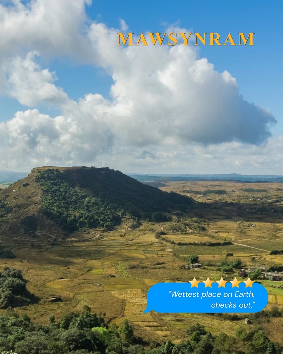 meghtourism's tweet photo. Some places deserve more than 5 stars.
Swipe through our 'Google Reviews' of Meghalaya's villages and see which ones made the cut!
#MeghalayaTourism https://t.co/508YXI4wrO