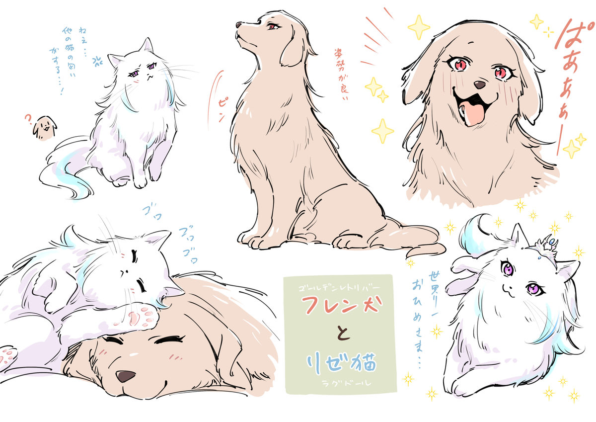 CrollNeko's tweet photo. frlz犬猫パロまとめ https://t.co/afF5IpDNie