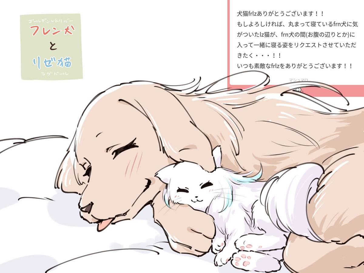 CrollNeko's tweet photo. frlz犬猫パロまとめ https://t.co/afF5IpDNie