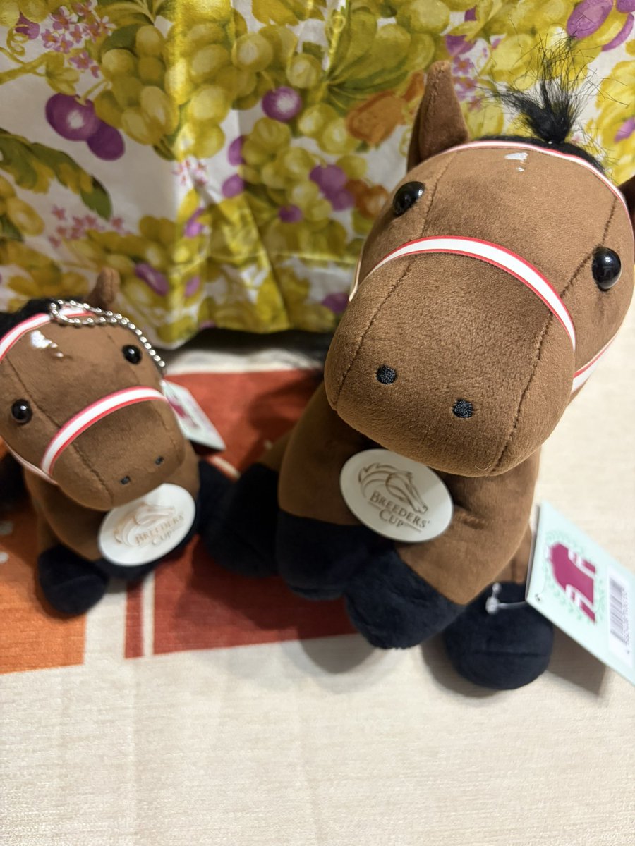 rinairu123's tweet photo. ヤンちゃん届いた！
おめめきゅんるきゅるすぎ
てっぺん結んであるの可愛い！！ https://t.co/orapMAYA6p
