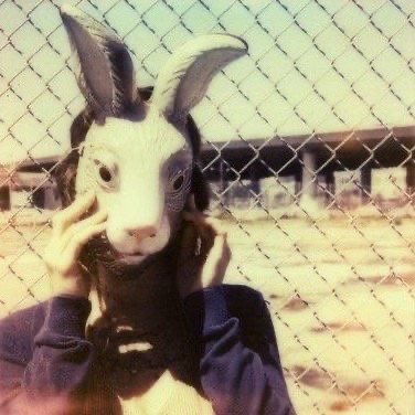 sleepyfme's tweet photo. my #shedtwt intro 

• diane⠀. . . ⠀she / her⠀⏔⠀
 ⠀⠀6teen⠀𝜗𓏲⠀ana atypical 
⠀°˖➴   sw 90 • cw in bio • gw 50-55 • ཐི⋆♱⋆ཋྀ 

₊˚ i love bojack !!

₊˚ no dni 🦇༉‧₊˚.

#edrtwt #anatwt #shedtwt #shtwt #988twt #oomfhunt #moothunt
♡ or ⟳ to be oomfs! https://t.co/RNylYHwBb2