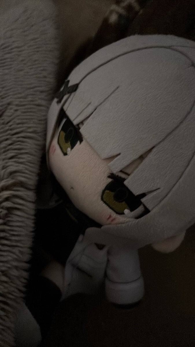 Tryy6fu's tweet photo. 絡む事があまり無いのでハレと一緒に寝ますそれではおやすみなさい💤 https://t.co/MBYBBjNoVu