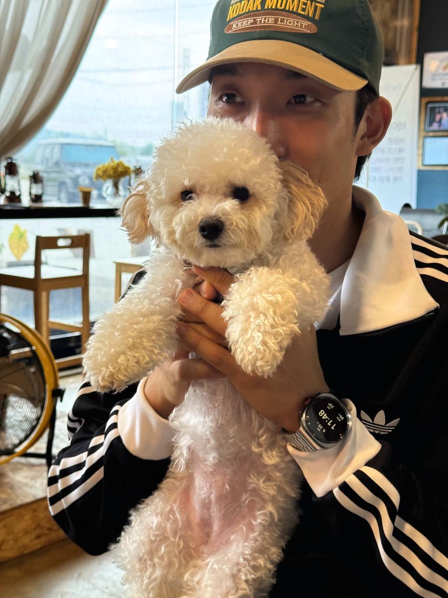 lee40yi's tweet photo. aaaaaaa sangyi with a puppy 💕 https://t.co/75N8XZdPUa