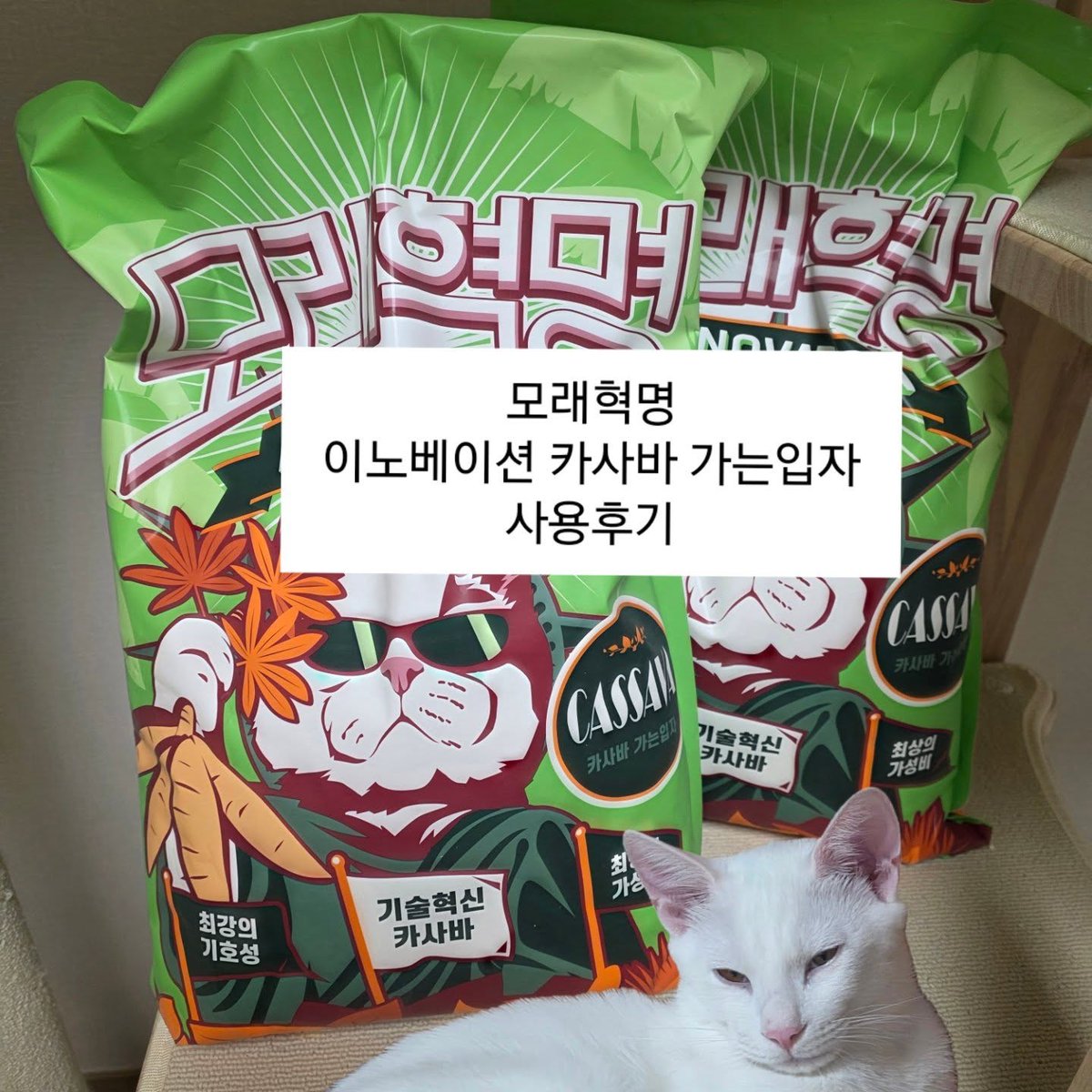 ElizSarrell's tweet photo. 모래혁명 카사바 가는입자를 사용해봤어요. 해변 모래처럼 고운 입자로 발바닥 촉감이 부드럽고 사막화가 줄었어요. 먼지가 적고 가벼우며 응고력과 기호성도 만족스러워 포크레인 냥이에게 추천해요. https://t.co/9nslf9oRvU