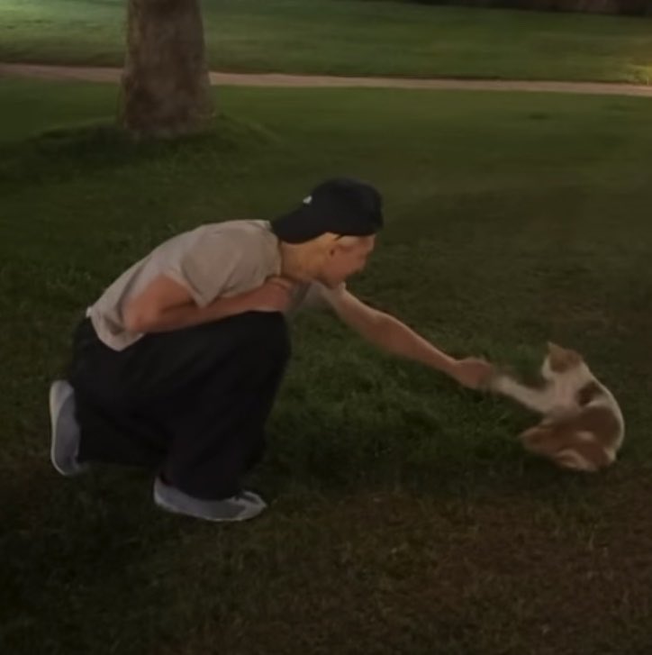 W00LOOKS's tweet photo. wooyoung vs the aftermath of trying to connect to his cat friends https://t.co/fZM8knrR5O