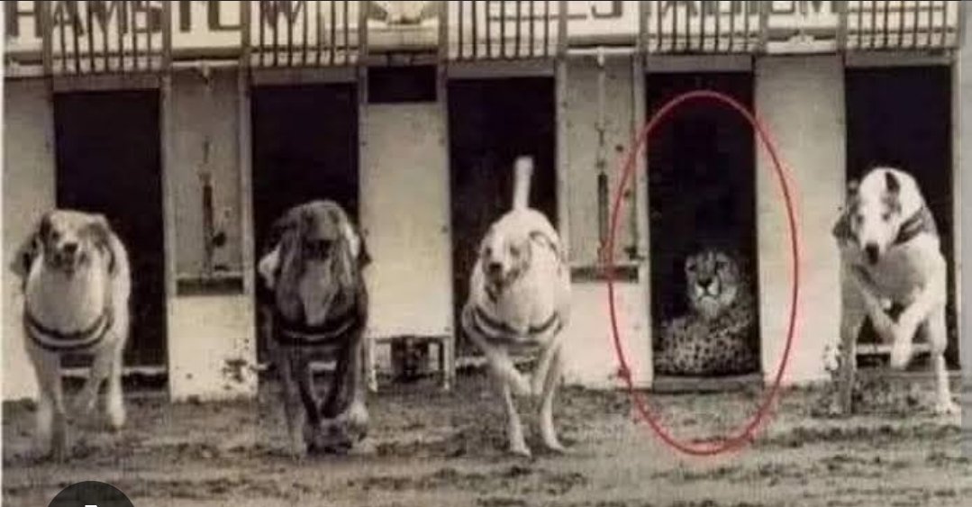 rockey835's tweet photo. @priyanka2bharti इस फोटो से आप को समझ लेना चाहिए कि क्यों नहीं आये वो आपके साथ डिबेट में । https://t.co/gKPqKC9jJf
