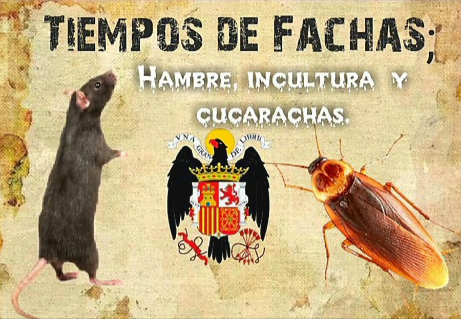 ilegalizacionpp's tweet photo. @nefeerr Asi todo el rato https://t.co/JPbLK3rkUY