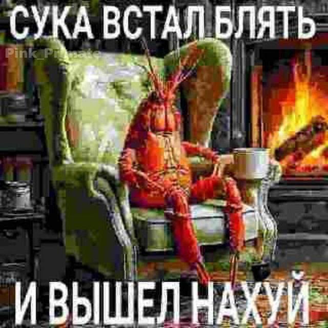 mbmeyv7's tweet photo. нахуя вообще отображать просмотры на твитте?чтобы видеть сколько людей проигнорировали мои твитты или че нахуй? https://t.co/iXL9Xqu72n