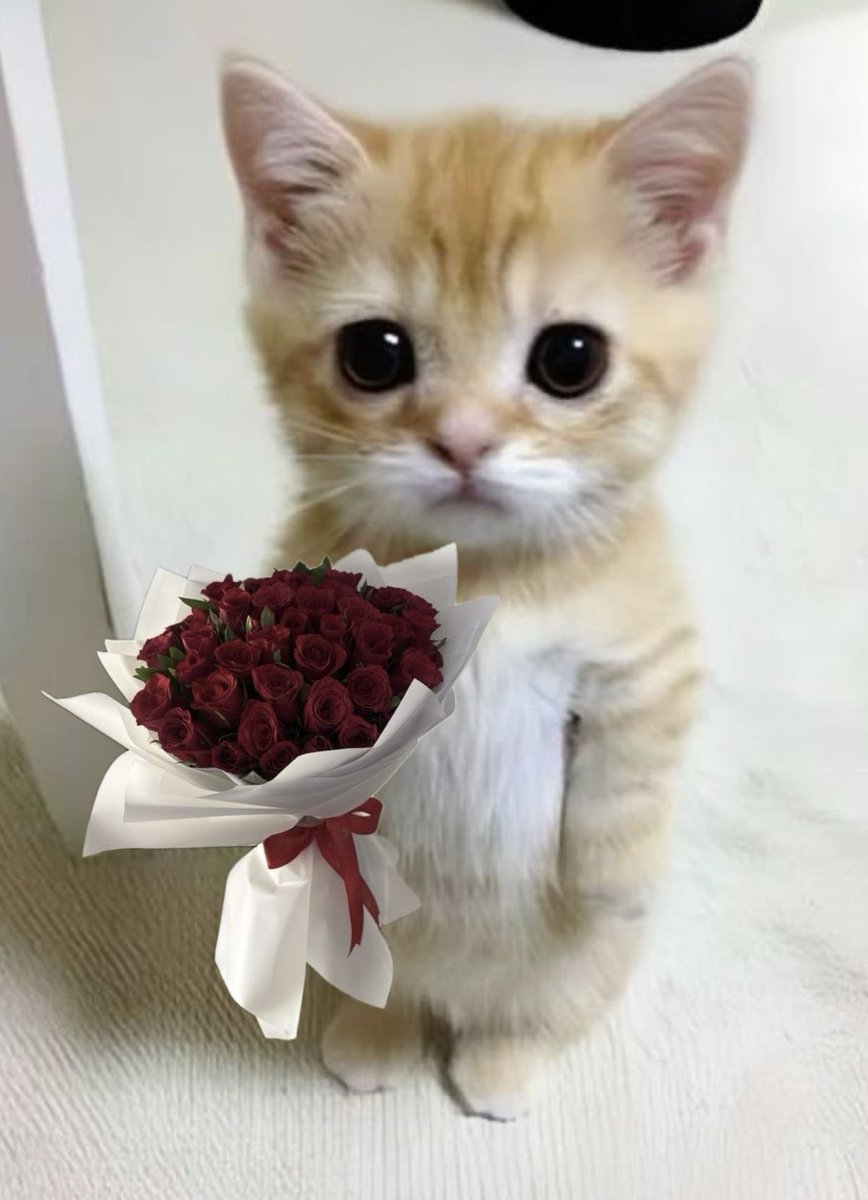 catxin25's tweet photo. https://t.co/N1v9tcau3j