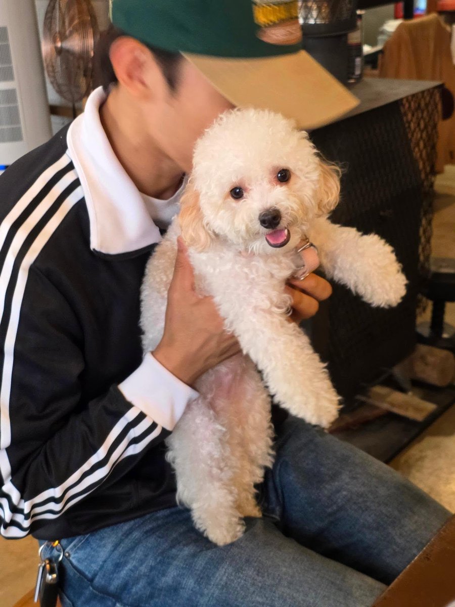 sangyi_viseo's tweet photo. 견과 강아지 ㅠㅠㅠㅠㅠㅠ아 제발🥹🥹🥹 https://t.co/xPAoW8aj7s