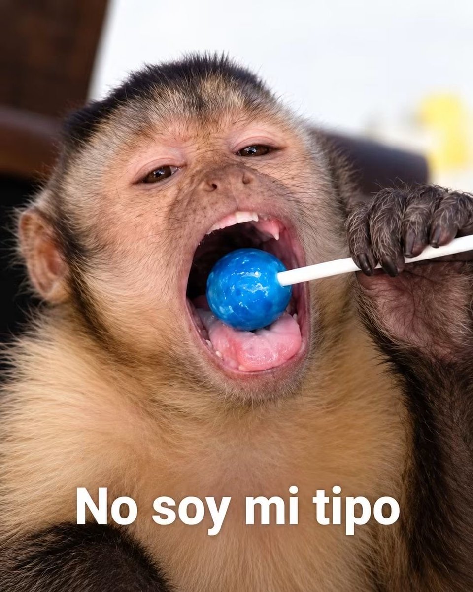 angelo_uf's tweet photo. Psicólogo: Ámate a ti mismo.

Yo: https://t.co/RphmpqrBQr