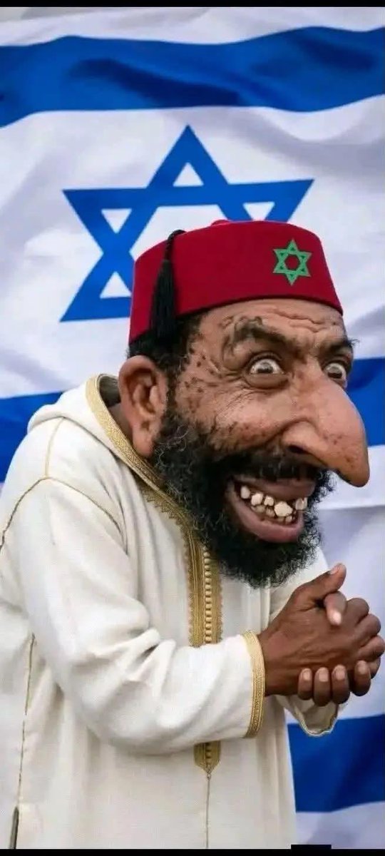 gherici_na53779's tweet photo. @aures_54s Il est trop tard pour réagir à cette injustice. Voilà six ans que le « loup » est devenu le berger de la bergerie au Maroc. https://t.co/FuRapW58WG