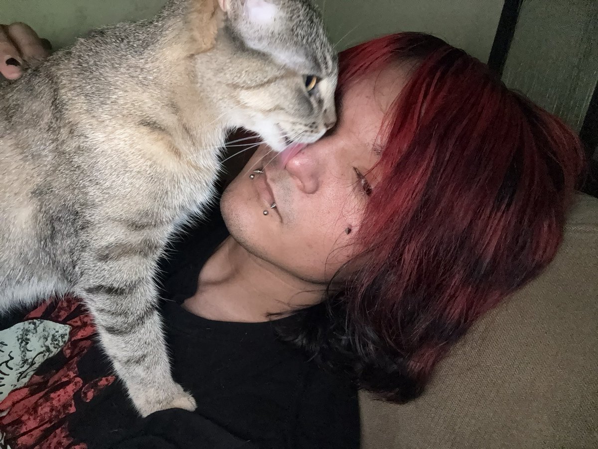 solesunswift's tweet photo. need more friendz :p #moothunt〃・
-you can call me whatever
-24
-gym
-i love my cat
-emo/ metalcore
-anime
-elderscrolls all day
let’s share playlists and memes :3
#moothunt #emo #music #rawr #rawrxd #bringmethehorizion #alt #emoboy #scenetwt #emotwt https://t.co/PUeKS3Qjbo