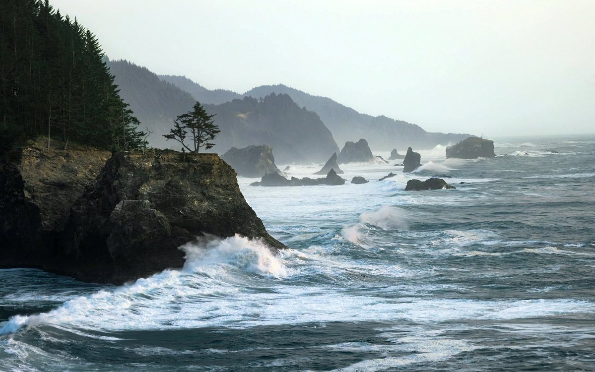 junknellycilv's tweet photo. The Oregon Coast [OC] [2000x1250] https://t.co/gfdPtuysGH