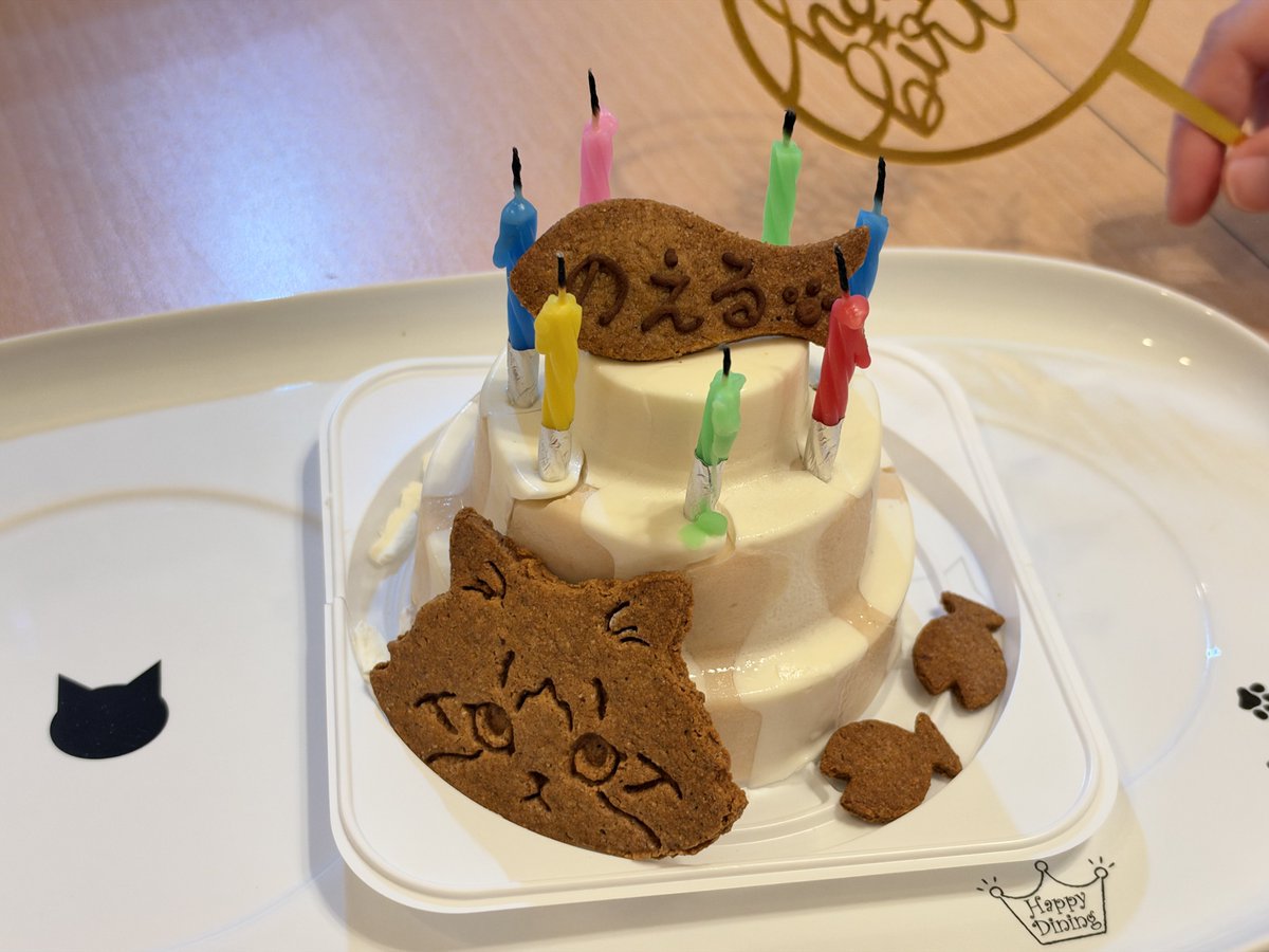 NoNoel_NoLife's tweet photo. 今日はボクの7歳の誕生日とママパパの結婚記念日だニャン🎂🐱🎉
今年もケーキ食べれて幸せだニャー😻 https://t.co/mPZnjVewJj