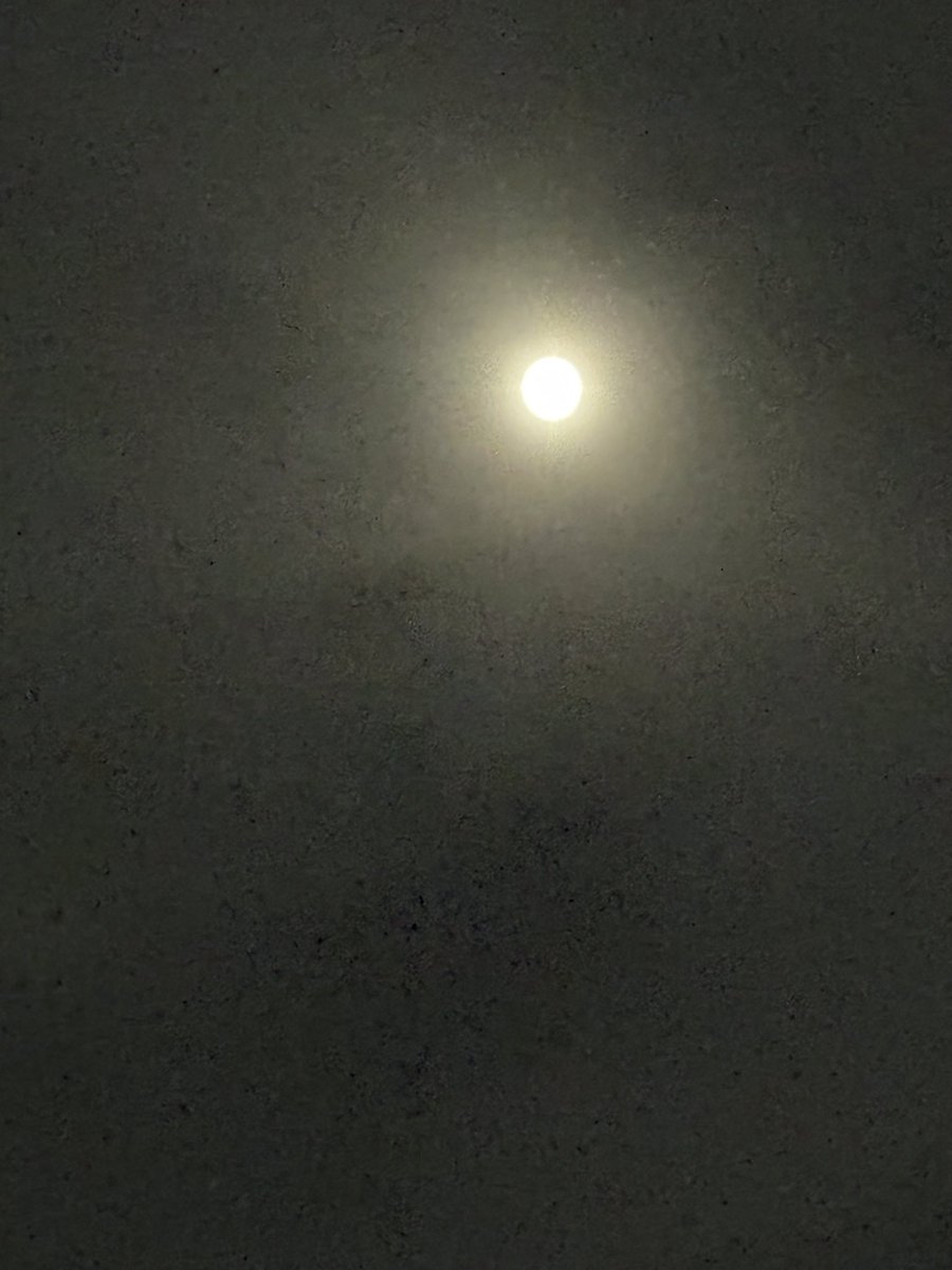 otona55's tweet photo. @_hareruyo333 現場の月は、こんなです🌛🌕 https://t.co/evQeM3y8OG