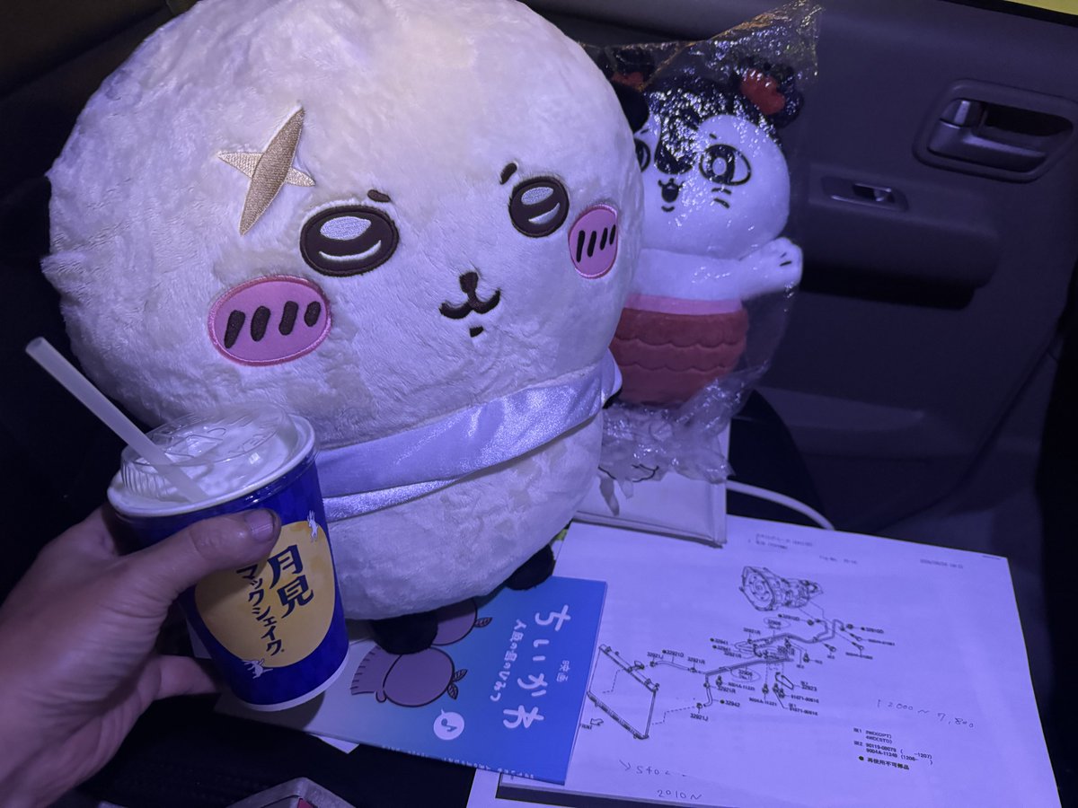 BP5_LEGACYfwo's tweet photo. マックのシャインマスカットシェイク https://t.co/C5OC3AFJjl
