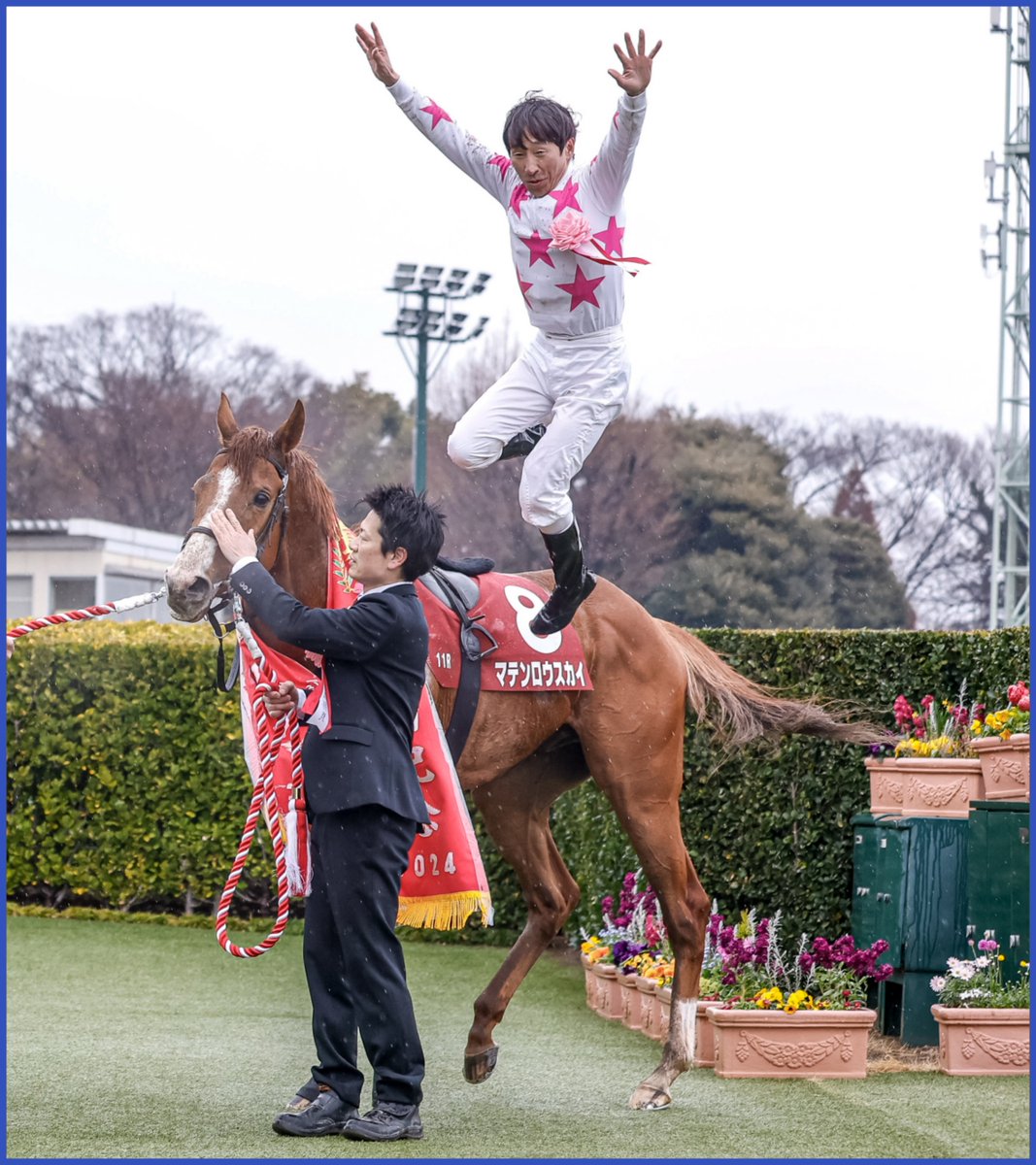 netkeiba's tweet photo. マテンロウスカイの引退に寄せて。
2024年の中山記念の勇姿。

雨の降る中山競馬場。
名手の手綱に導かれ、好位から抜け出しタイトル奪取。

同期のジオグリフや1年後輩のソールオリエンスなど、皐月賞馬たちを翻弄。

(撮影：下野雄規)

▼当時のレース結果を見る
https://t.co/pIAvowTJOq https://t.co/L8X1YTlbU5